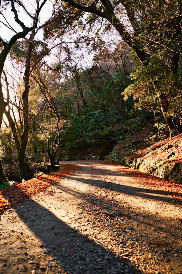 Best-Tourist-Cities-in-Japan