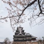 best-months-to-go-to-japan