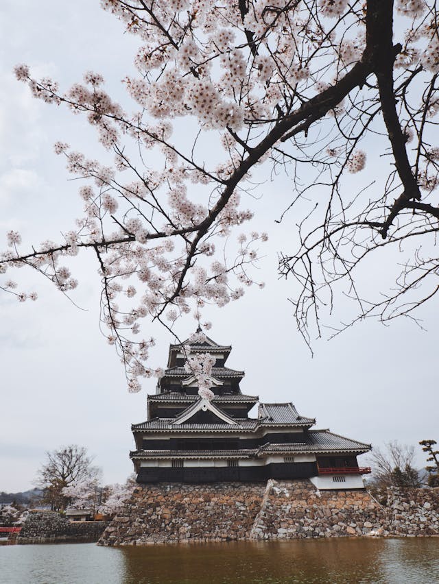 best-months-to-go-to-japan