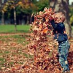 family-travel-packages-to-japan