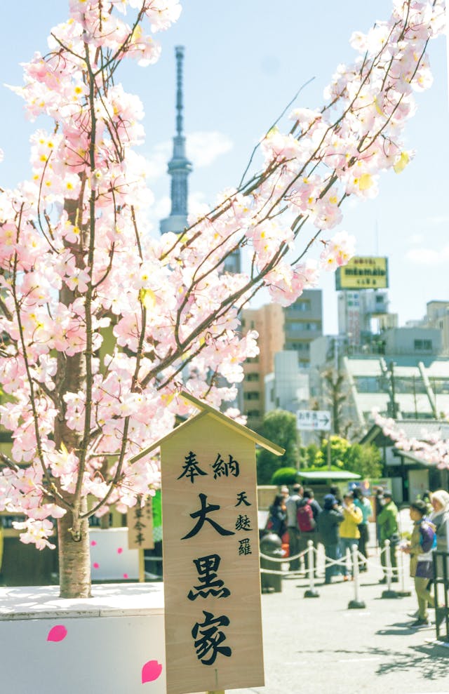 japan-organised-tours
