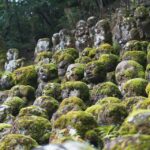 kyoto-travel-packages