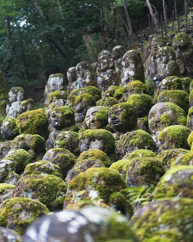 kyoto-travel-packages