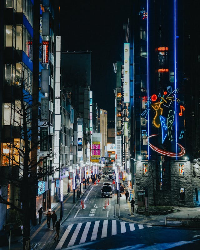 Travel-Agent-for-Japan-Tour