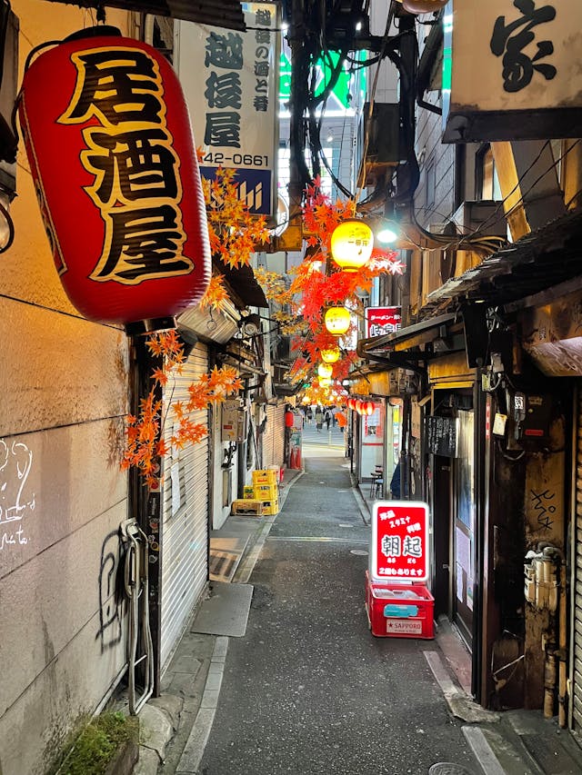japan-tours-from-tokyo